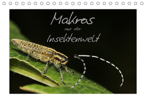 Makros aus der Insektenwelt (Tischkalender 2021 DIN A5 quer) von Gerken,  Klaus