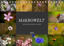 Makrowelt – Blumen und Insekten im Fokus (Tischkalender 2023 DIN A5 quer) von Mairhofer,  Simone