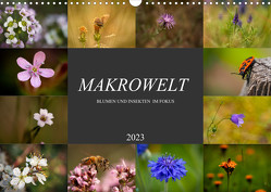 Makrowelt – Blumen und Insekten im Fokus (Wandkalender 2023 DIN A3 quer) von Mairhofer,  Simone