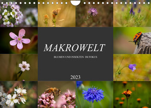Makrowelt – Blumen und Insekten im Fokus (Wandkalender 2023 DIN A4 quer) von Mairhofer,  Simone