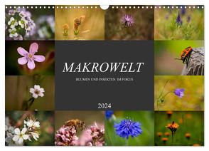 Makrowelt – Blumen und Insekten im Fokus (Wandkalender 2024 DIN A3 quer), CALVENDO Monatskalender von Mairhofer,  Simone
