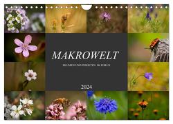 Makrowelt – Blumen und Insekten im Fokus (Wandkalender 2024 DIN A4 quer), CALVENDO Monatskalender von Mairhofer,  Simone