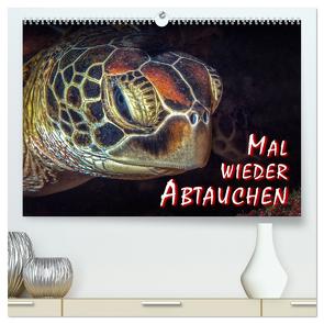 Mal wieder Abtauchen (hochwertiger Premium Wandkalender 2024 DIN A2 quer), Kunstdruck in Hochglanz von Gödecke,  Dieter