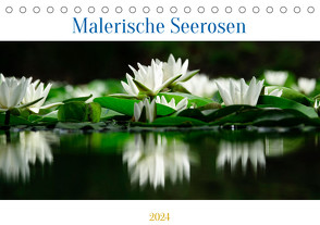 Malerische Seerosen (Tischkalender 2024 DIN A5 quer), CALVENDO Monatskalender von Jäger,  Anette/Thomas