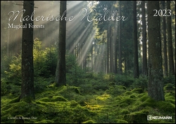 Malerische Wälder 2023 – Wand-Kalender – 42×29,7 – Wald – Natur von Dörr,  Cornelia & Ramon