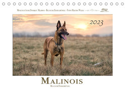 Malinois – Belgische Energiebündel (Tischkalender 2023 DIN A5 quer) von Wrede,  Martina