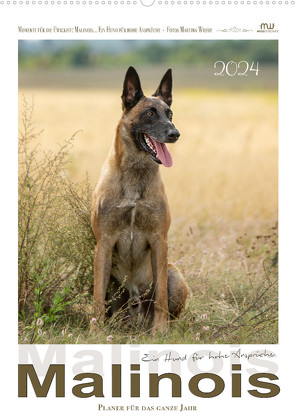 Malinois – Ein Hund für hohe Ansprüche (Wandkalender 2024 DIN A2 hoch), CALVENDO Monatskalender von Wrede - Wredefotografie,  Martina