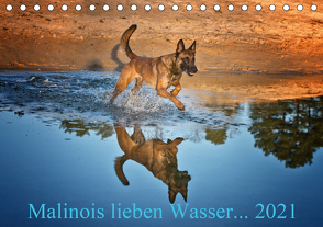 Malinois lieben Wasser (Tischkalender 2021 DIN A5 quer) von Schwarzer,  Susanne