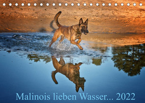 Malinois lieben Wasser (Tischkalender 2022 DIN A5 quer) von Schwarzer,  Susanne