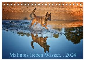 Malinois lieben Wasser (Tischkalender 2024 DIN A5 quer), CALVENDO Monatskalender von Schwarzer,  Susanne
