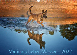 Malinois lieben Wasser (Wandkalender 2022 DIN A3 quer) von Schwarzer,  Susanne
