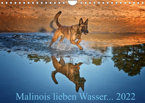 Malinois lieben Wasser (Wandkalender 2022 DIN A4 quer) von Schwarzer,  Susanne