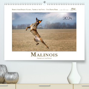 Malinois – Partner auf vier Pfoten (hochwertiger Premium Wandkalender 2024 DIN A2 quer), Kunstdruck in Hochglanz von Wrede - Wredefotografie,  Martina