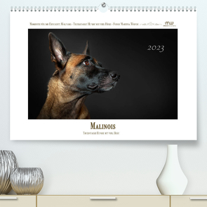 Malinois – Triebstarke Hunde mit viel Herz (Premium, hochwertiger DIN A2 Wandkalender 2023, Kunstdruck in Hochglanz) von Wrede,  Martina