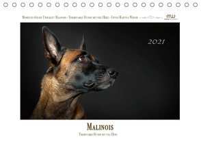 Malinois – Triebstarke Hunde mit viel Herz (Tischkalender 2021 DIN A5 quer) von Wrede,  Martina