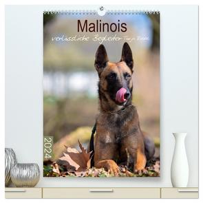 Malinois verlässliche Begleiter (hochwertiger Premium Wandkalender 2024 DIN A2 hoch), Kunstdruck in Hochglanz von Riedel,  Tanja