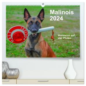 Malinois – Wahnsinn auf vier Pfoten (hochwertiger Premium Wandkalender 2024 DIN A2 quer), Kunstdruck in Hochglanz von Trocha,  Alexander