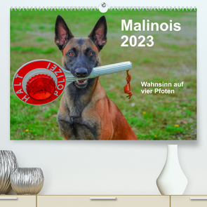 Malinois – Wahnsinn auf vier Pfoten (Premium, hochwertiger DIN A2 Wandkalender 2023, Kunstdruck in Hochglanz) von Trocha,  Alexander