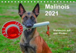 Malinois – Wahnsinn auf vier Pfoten (Tischkalender 2021 DIN A5 quer) von Trocha,  Alexander