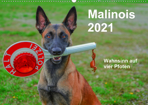 Malinois – Wahnsinn auf vier Pfoten (Wandkalender 2021 DIN A2 quer) von Trocha,  Alexander