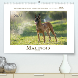 Malinois… was sonst! (Premium, hochwertiger DIN A2 Wandkalender 2023, Kunstdruck in Hochglanz) von Wrede - Wredefotografie,  Martina