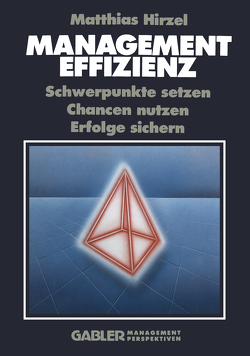 Management Effizienz von Hirzel,  Matthias