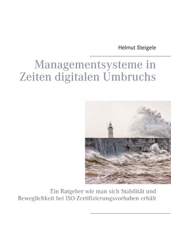 Managementsysteme in Zeiten digitalen Umbruchs von Steigele,  Helmut