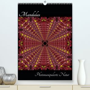 Mandalas – Photomanipulierte Natur (Premium, hochwertiger DIN A2 Wandkalender 2020, Kunstdruck in Hochglanz) von "Sabsieh" Engelmann,  Sabine