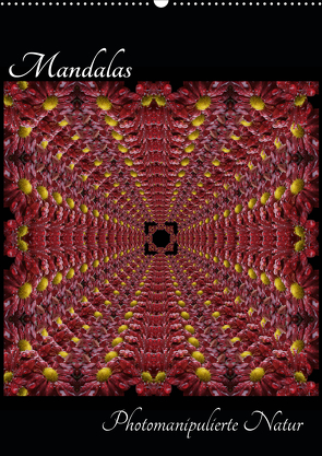 Mandalas – Photomanipulierte Natur (Wandkalender 2020 DIN A2 hoch) von "Sabsieh" Engelmann,  Sabine