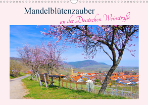 Mandelblütenzauber an der Deutschen Weinstraße (Wandkalender 2020 DIN A3 quer) von LianeM