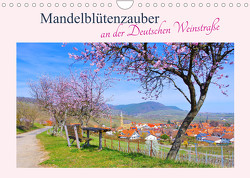 Mandelblütenzauber an der Deutschen Weinstraße (Wandkalender 2023 DIN A4 quer) von LianeM