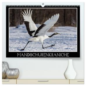 Mandschurenkraniche (hochwertiger Premium Wandkalender 2024 DIN A2 quer), Kunstdruck in Hochglanz von Schwarz Fotografie,  Thomas