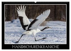 Mandschurenkraniche (Wandkalender 2024 DIN A2 quer), CALVENDO Monatskalender von Schwarz Fotografie,  Thomas