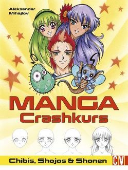 Manga Crashkurs von Mihajlov,  Aleksandar