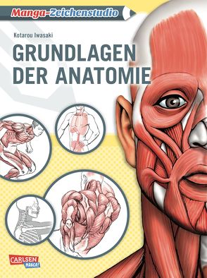 Manga-Zeichenstudio: Grundlagen der Anatomie von Iwasaki,  Kotarou