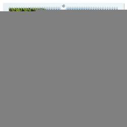 Mangroven – Natürlicher Küstenschutz (hochwertiger Premium Wandkalender 2024 DIN A2 quer), Kunstdruck in Hochglanz von Niemann,  Ute