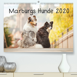 Marburgs Hunde 2020 (Premium, hochwertiger DIN A2 Wandkalender 2020, Kunstdruck in Hochglanz) von Hemlep,  Christine