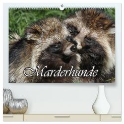 Marderhunde (hochwertiger Premium Wandkalender 2024 DIN A2 quer), Kunstdruck in Hochglanz von Lindert-Rottke,  Antje