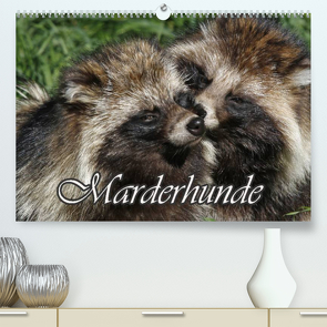 Marderhunde (Premium, hochwertiger DIN A2 Wandkalender 2023, Kunstdruck in Hochglanz) von Lindert-Rottke,  Antje