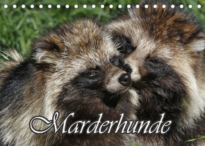 Marderhunde (Tischkalender 2023 DIN A5 quer) von Lindert-Rottke,  Antje