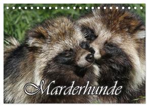 Marderhunde (Tischkalender 2024 DIN A5 quer), CALVENDO Monatskalender von Lindert-Rottke,  Antje