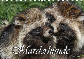 Marderhunde (Wandkalender 2023 DIN A2 quer) von Lindert-Rottke,  Antje