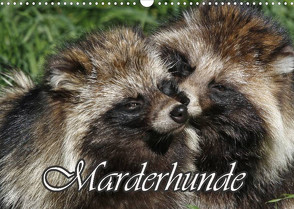 Marderhunde (Wandkalender 2023 DIN A3 quer) von Lindert-Rottke,  Antje