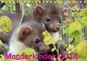 Marderkinder (Tischkalender 2018 DIN A5 quer) von Nixe