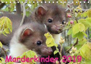 Marderkinder (Tischkalender 2019 DIN A5 quer) von Nixe