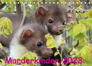 Marderkinder (Tischkalender 2023 DIN A5 quer) von Nixe