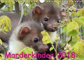 Marderkinder (Wandkalender 2018 DIN A4 quer) von Nixe