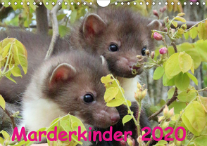 Marderkinder (Wandkalender 2020 DIN A4 quer) von Nixe
