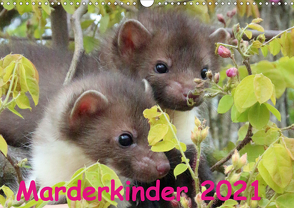 Marderkinder (Wandkalender 2021 DIN A3 quer) von Nixe