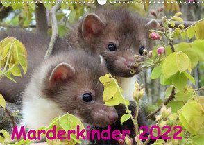 Marderkinder (Wandkalender 2022 DIN A3 quer) von Nixe